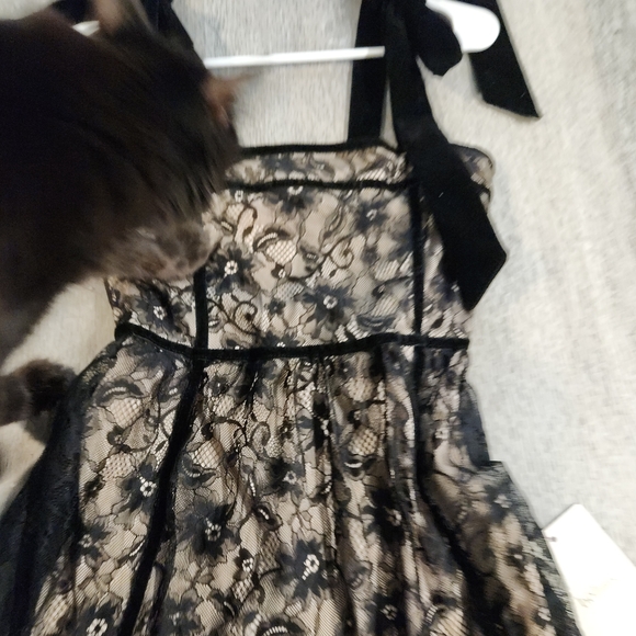 Bohme Black Lace Ribbon Strap Midi Dress, Beige Lining, Ruffle Hem, Size XS, NWT - Picture 6 of 16